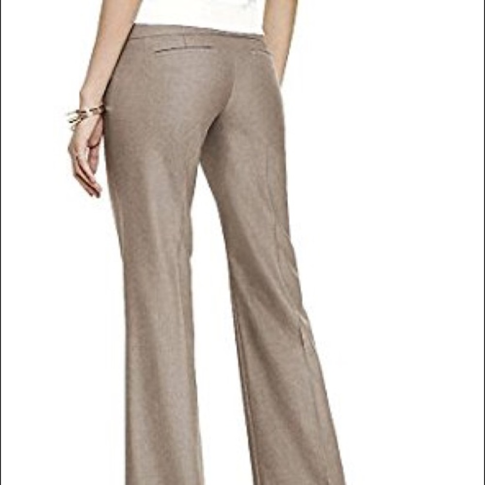 Express Editor Pant Multiple Colors
